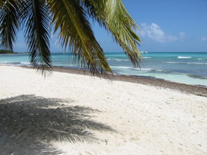 Antilles néerlandaises